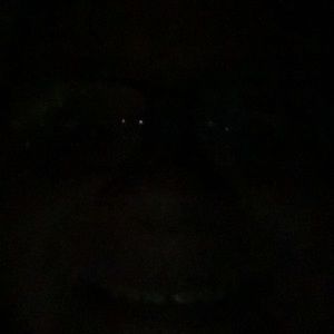 Meet your Posher, Logan